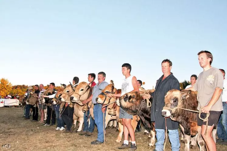 Les championnes à l’issue d'un concours qui a réuni la famille aubrac et de nombreux visiteurs.