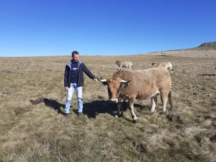 Bertrand Barriol, éleveur sélectionneur aubrac à Cézens et adhérent militant de la FDSEA.