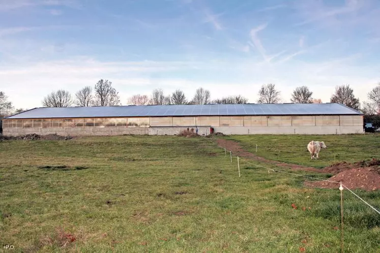 Grâce aux 560 panneaux (2 000 m2 de surface) installés sur le toit de la stabulation, la famille Astruc va vendre à EDF 156 kW d’ici quelques semaines.