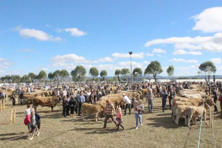 Le public est venu nombreux profiter de cette journée estivale. La star du jour : l’aubrac.