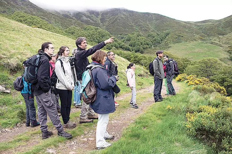 Des sorties nature qui permettent de décrypter le paysage volcanique façonné par l’élevage et le pastoralisme.