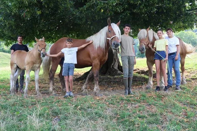 La famille Irlande entoure Nuage, le poulain d'Ivana, Ivana et Kolline.