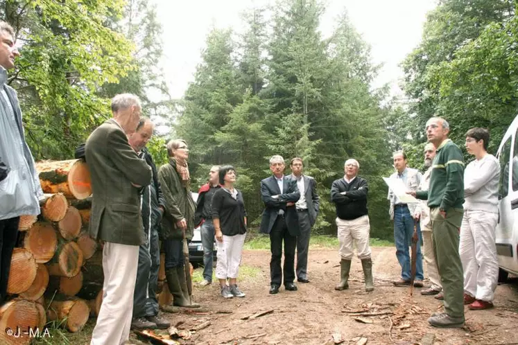 La ressource bois existe en grande quantité sur le département. Le travail de Bois énergie a permis une prise de conscience et de lancer une filière en fédérant les différents du bois dans le Cantal.