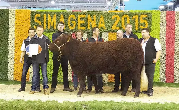 Indianna, sacrée championne polled inter-races au Simagena 2015, porte de Villepinte.