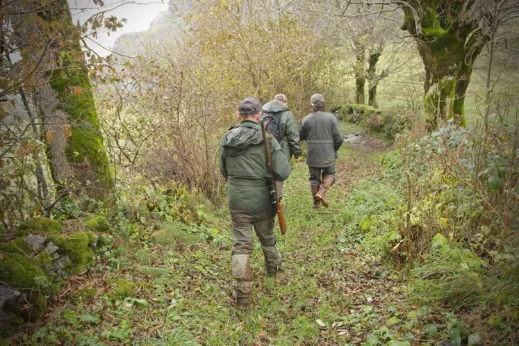 Le Cantal séduit par la diversité des espèces chassables et la présence de gros gibier.