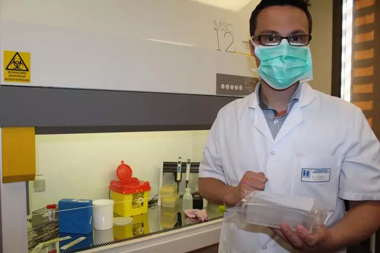 Le docteur Mathieu Kuentz dans le laboratoire d’extraction du matériel génétique viral potentiellement 
présent dans les prélèvements nasopharyngés des patients testés.