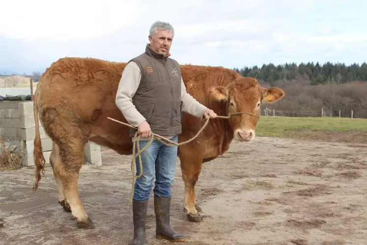 Laurent Échavidre est aux petits soins pour Joséphine, en attendant le grand jour...