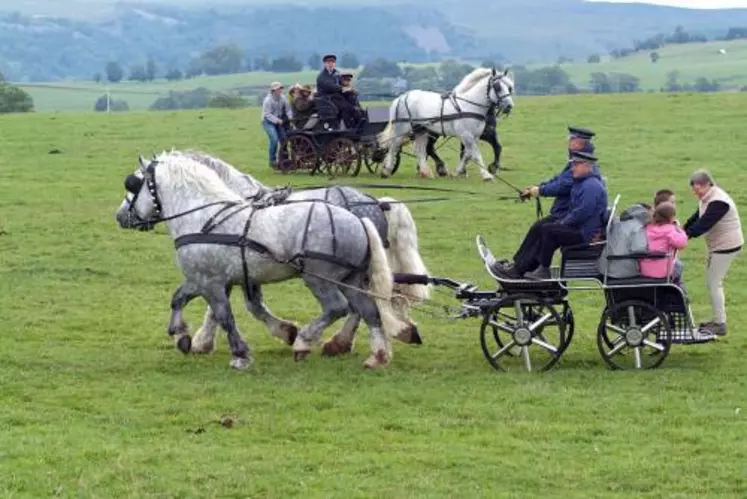 La présentation des calèches des Haras a rythmé cette journée consacrée à la race percheronne.