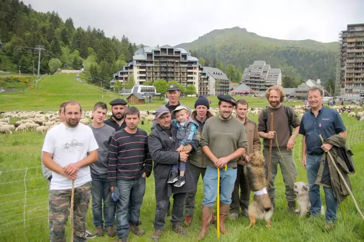 Les brebis, parties d’Espédaillac dans le Lot, dimanche 22 mai, sont arrivées ce dimanche 12 juin dans la prairie des Sagnes du Lioran, après 180 km parcourus sur deux départements (et deux régions administratives) et 16 étapes, dont des repos de plusieurs jours. 