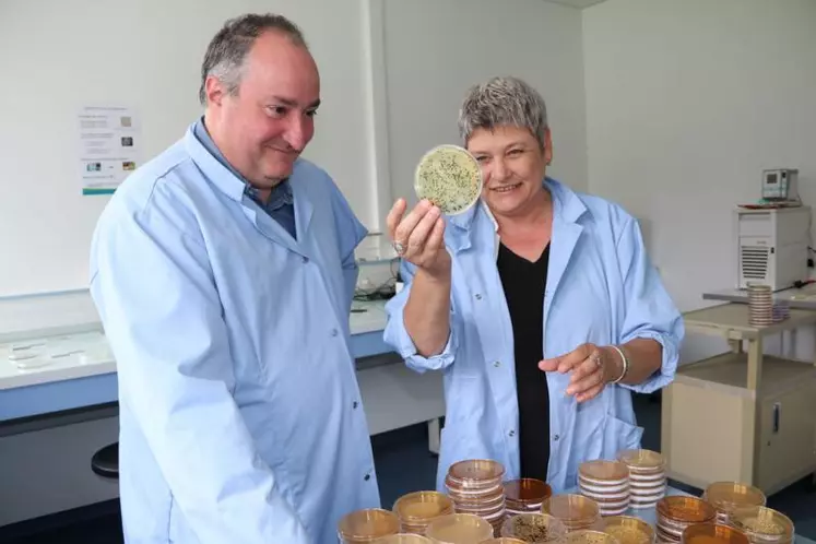 Christophe Chassard, directeur de l'UMRF, ici avec Cécile Callon, ingénieure de recherche, estime que les planètes sont alignées pour que l'avenir du secteur de la microbiologie passe par Aurillac et le Cantal.