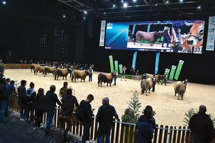 400 animaux, 44 structures partenaires privés et 8 collectivités : le National aubrac au Sommet de l'élevage 
a laissé de grands souvenirs (photo archives).