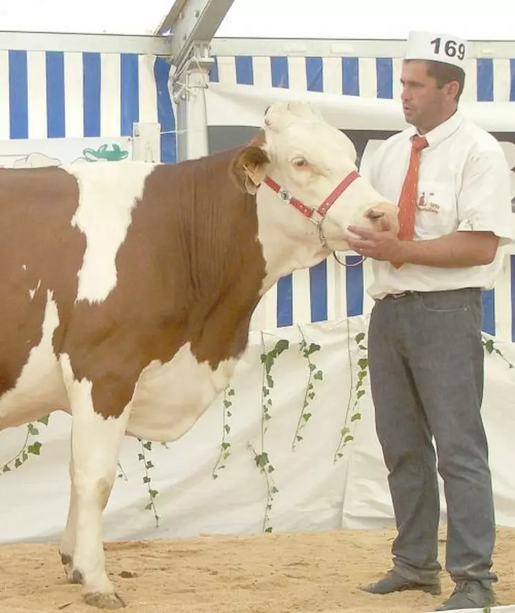 Deux vaches couvertes de prix : Sophie la montbéliarde (à l’élevage Cussac-Fouillet) et Salinoise Starlili la prim’holstein (à Noël Damon).