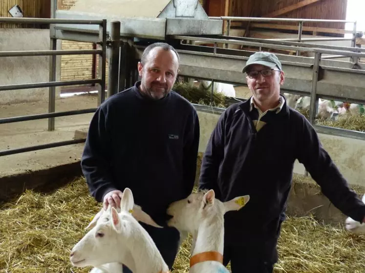 Benoît et Francis Blancher se sont associés en 2012 et ont construit un bâtiment à Brageac pouvant accueillir 120 chèvres. Sur douze hectares, les chèvres sont en ration sèche.