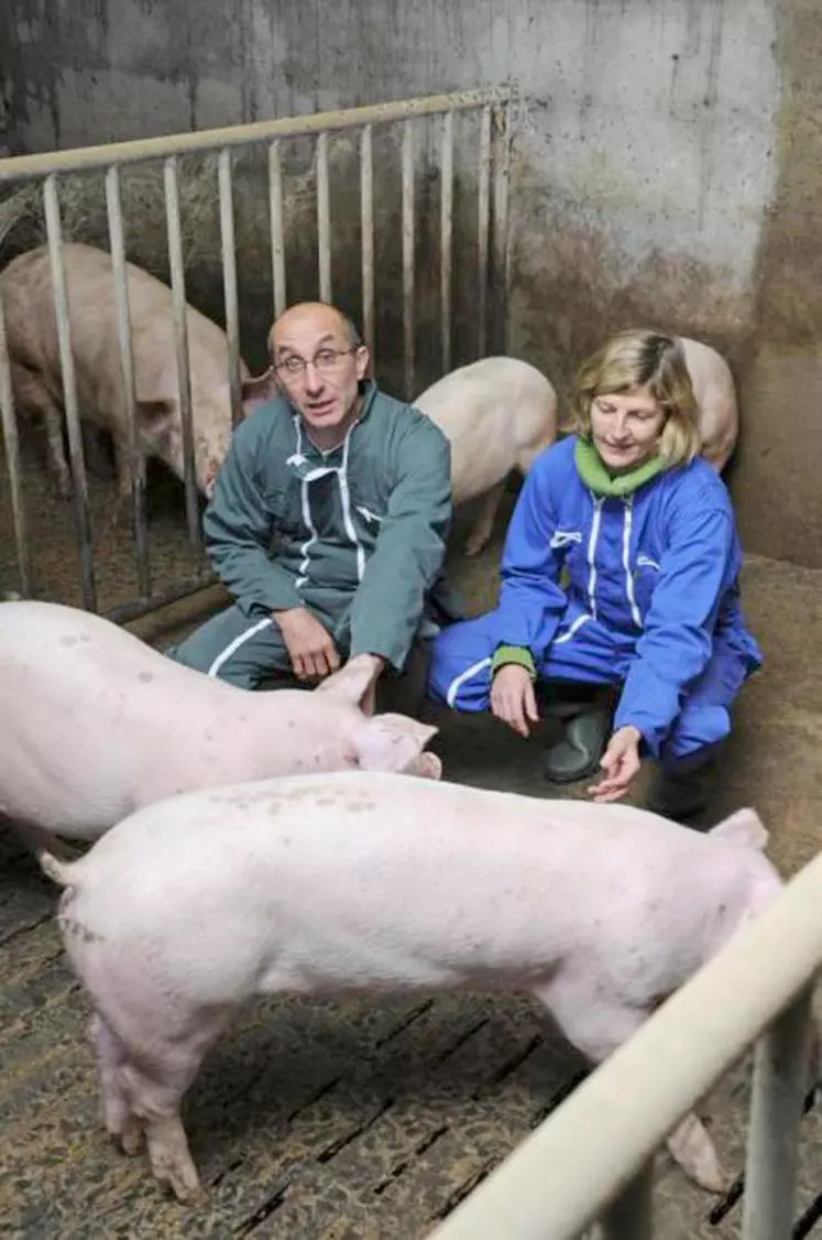 Les qualités de la race étaient rappelées par Jersiaise France lors d’une journée technique programmée dans le Cantal.