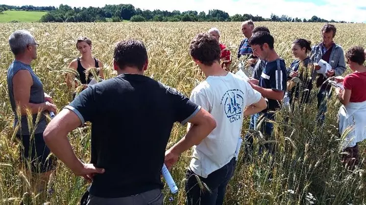 Tour de parcelles, rendu d’essais, opérations "démo’flash"... autant d’actions pour vulgariser les pratiques alternatives développées.