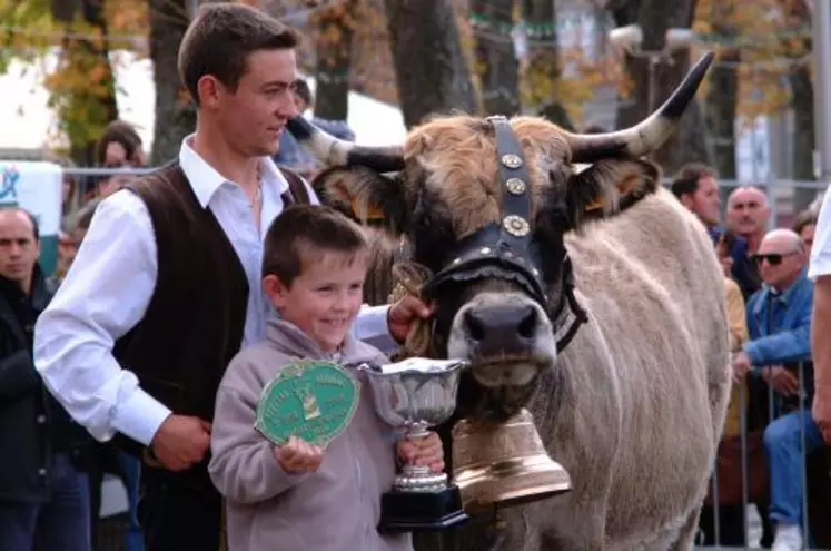 92 éleveurs du Cantal, de l’Aveyron et de la Lozère ont participé ce week-end au Spécial aubrac à Saint-Flour.