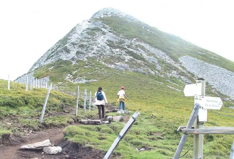 Environnement naturel, qualité de vie, loisirs... : les attraits du Cantal plébiscités par les touristes.