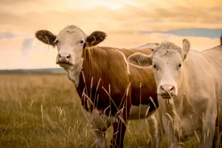 Alimentation, pollution, climat, bien-être animal... : l’agriculture au cœur de sujets sociétaux.