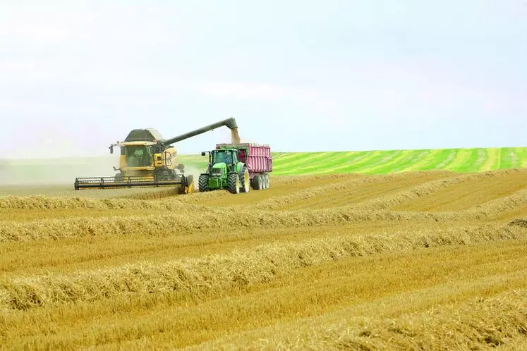 Sans atteindre le record de la campagne passée, les exportations européennes de blé 2009/2010 seront très largement supérieures à celles réalisées en 2007/2008.