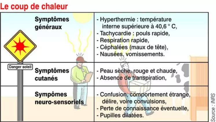 Le coup de chaleur peut être mortel. L’exposition prolongée aux forts rayons du soleil pendant l’été peut aussi provoquer d’autres accidents plus ou moins sérieux. Il faut donc connaître les risques et surveiller les symptômes.