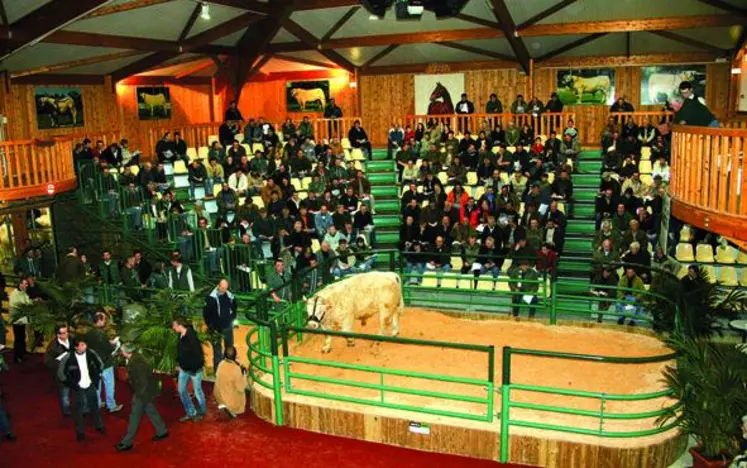 Les animaux non vendus restent jusqu'au mercredi 31 mars à la ferme du Marault.