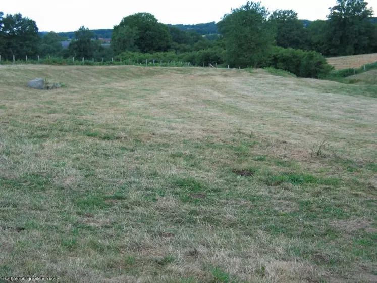 La Creuse a été parmi les premiers des 65 départements reconnus en calamités agricoles sur le plan du fourrage.