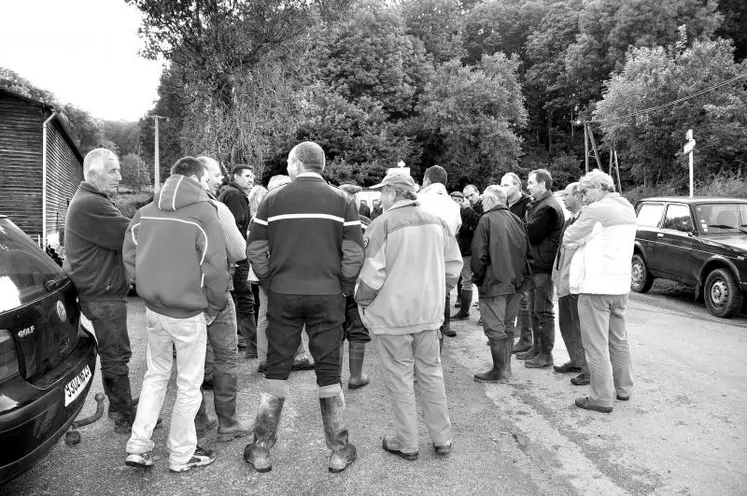 Depuis quelques jours, les sangliers sont de retour dans les semis de maïs.