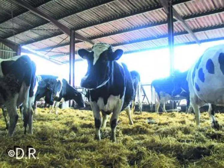 Les crises économiques, sociales et politiques de ces dernières années ont clairement montré les limites, 
tant pour les producteurs que pour les consommateurs, de la dérégulation des marchés.