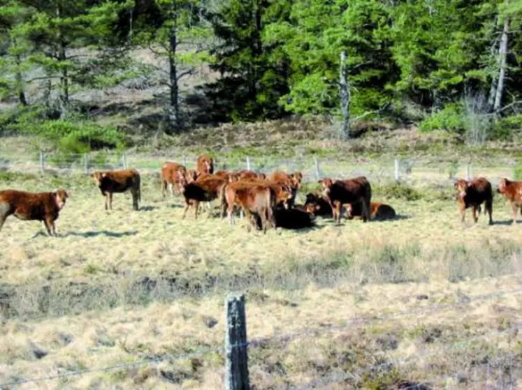 Agriculture et biodiversité font bon ménage sur le plateau de Millevaches. Le grand public pourra en avoir la preuve les 19 et 20 mai prochains.