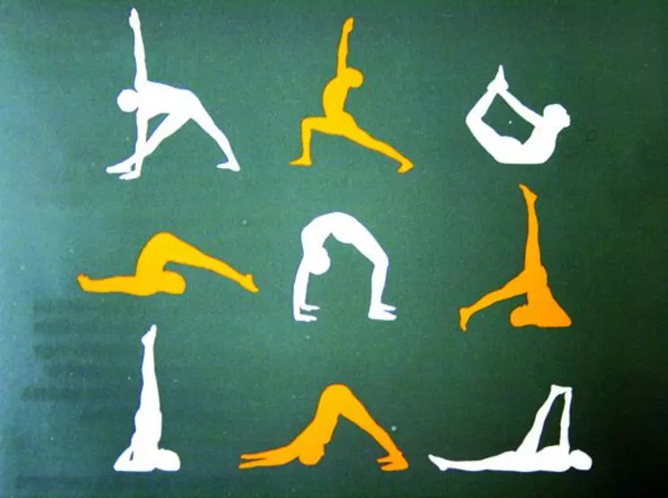 Trente-deux mille postures existeraient dans le yoga, et une dizaine sont dites fondamentales.