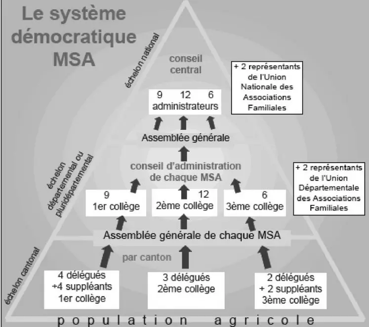 Le système démocratique MSA.