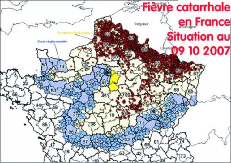 Au 9 octobre, plusieurs nouveaux cas de fièvre catarrhale viennent d'être confirmés par l'AFSSA Maisons-Alfort dans les départements du Cher, de Côte d'Or, de la Moselle, de la Nièvre, de l'Oise, de la Seine-et-Marne et de l'Yonne. Au total, plus de 4.300 cas de fièvre catarrhale “ 2007 ” sont répertoriés à ce jour en France. Les localisations de 2 foyers de Seine-et-Marne impliquent une extension des périmètres interdits dans ce département.
