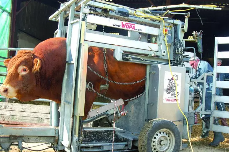 Farago Creuse dispose d’une cage de parage hydraulique afin de réaliser les interventions dans de bonnes conditions tout en veillant au meilleur respect du bien-être animal.