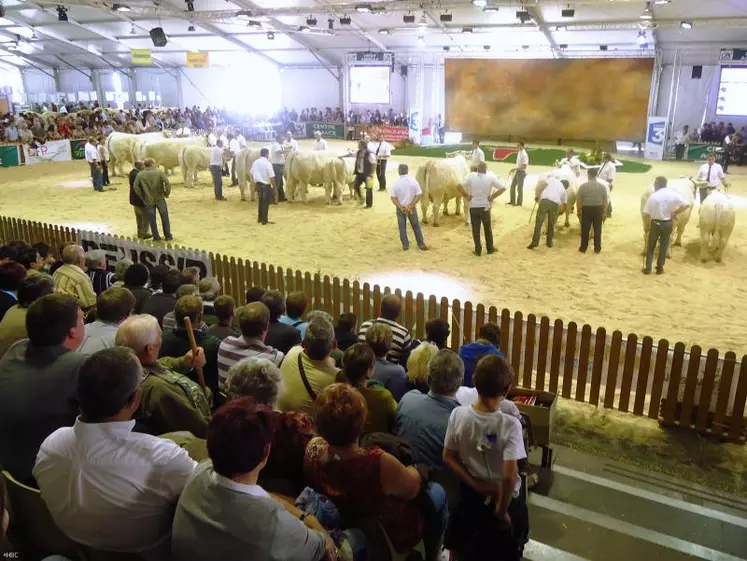 Jugement des sections pendant le concours charolais.