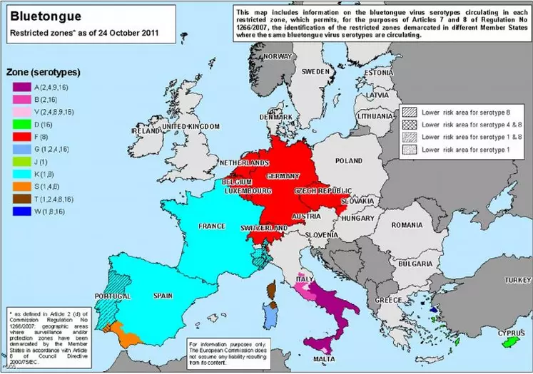 Certains pays ont retrouvé leur statut indemne en 2011 (Royaume uni, Norvège, Autriche, etc.). D’autres pays de l’Europe du Nord l’envisagent. À l’inverse, des pays du Sud de l’Europe « vivent » avec la maladie. Étant donné la dépendance de l’élevage français vis à vis des exportations, la France doit capitaliser sur sa situation favorable et rechercher le statut indemne.