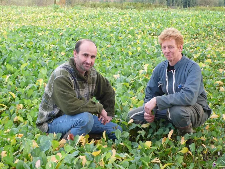 « Cette année, la mise en place précoce de cultures de dérobées affectées au pâturage nous ont permis de palier les manques de fourrages de ce printemps.» Christophe Bouzonie et Armel Rommuluère, Gaec de Panlat, Rilhac-Rancon (87).