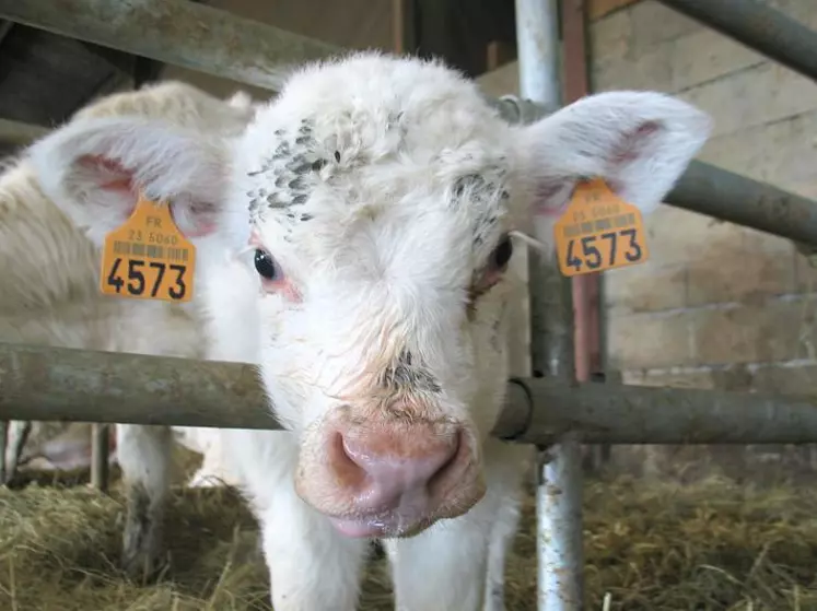 Les agriculteurs qui souhaitent bénéficier d’un régime de subrogation ou qui souhaitent émarger à un programme éligible à la réserve nationale devront retirer un formulaire adéquat auprès de la DDT.