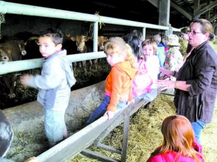 Les pieds dans la ferme !