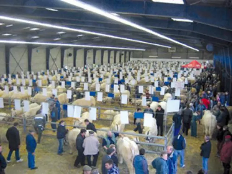 Une vue d'ensemble de la foire