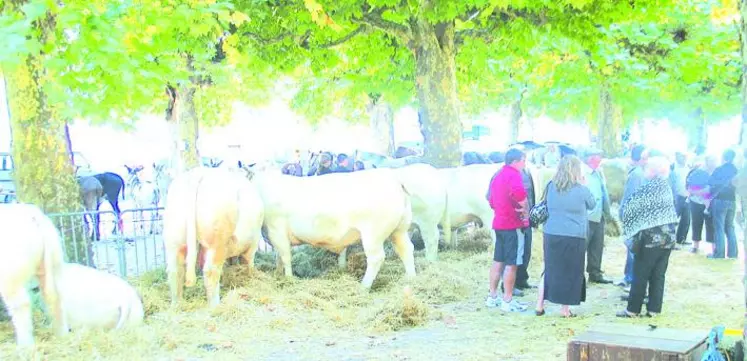 Le comice eut la visite de nombreux agriculteurs des environs.