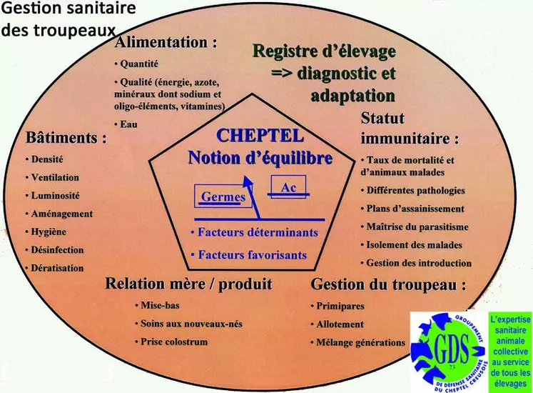 L’état sanitaire d’un troupeau repose sur l’équilibre entre les capacités de défense des animaux et la pression microbienne. Un problème sanitaire dans un élevage est la conséquence d’un déséquilibre.