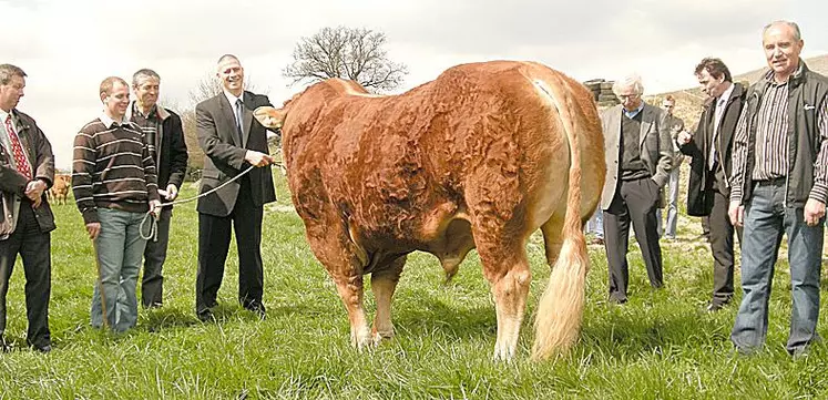 Hugues Moutouh, préfet de la Creuse avec Cardinal, à l’élevage Gaec Lebourg, 1er prix des mâles à fort développement musculaire, au salon international de l’agriculture.