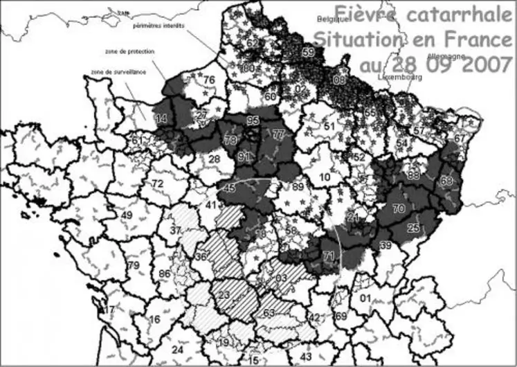 La progression rapide de la fièvre catarrhale selon un axe nord-est / sud-ouest a entraîné une mise en zone de protection de le 'ensemble de la Creuse