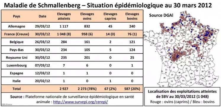 Le virus de Schmallenberg a connu une large diffusion géographique avec une forte prévalence dans les zones concernées comme le montre l'enquête sérologique néerlandaise. Une inflexion à la baisse du nombre de cas détectés semble actuellement se dessiner en France.