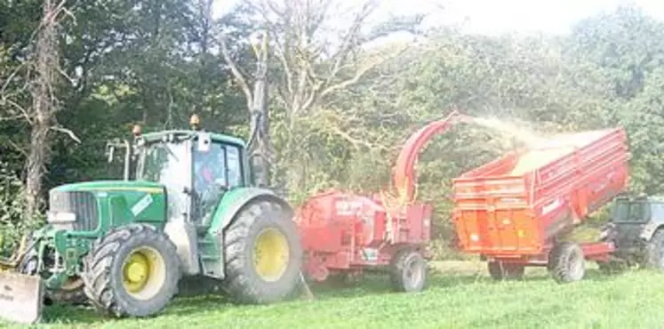 Le bois transformé en plaquettes est une énergie compétitive.