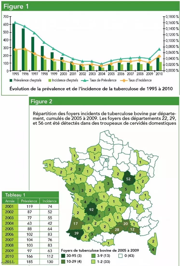 Des adaptations du plan de lutte historique contre la tuberculose, comme l’instauration de l’abattage total en 1999, ont permis de réduire considérablement la prévalence pour atteindre 0,02 % en 2004 (figure 1). Une augmentation de l’incidence des foyers bovins est observée depuis 2004 (tableau 1). Cette tendance semble progresser régulièrement depuis 2004. Ces foyers récents restent localisés à certaines zones.