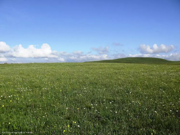 La diversité des prairies est un atout.