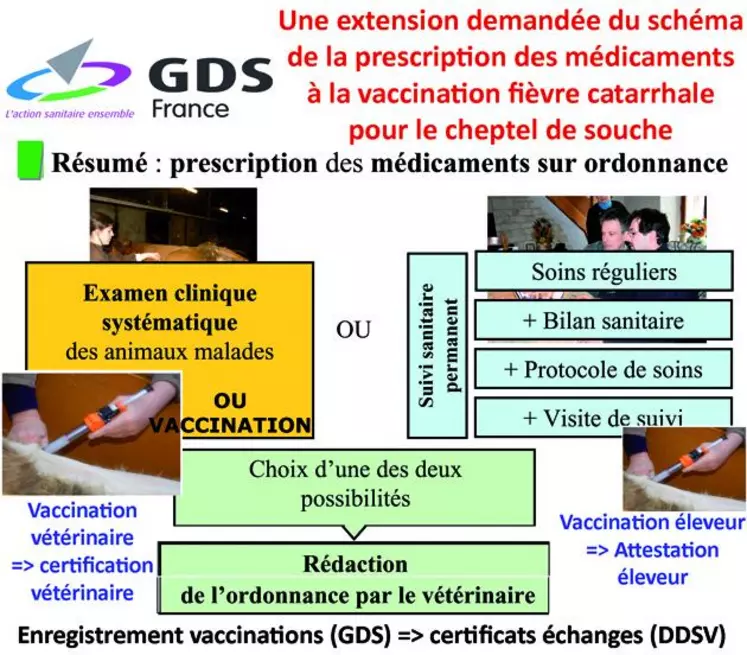 GDS France a demandé au niveau national de pouvoir reconnaître la vaccination du cheptel souche par l’éleveur. Celle-ci entrerait dans le schéma appliqué du bilan sanitaire et du protocole de soin, complété par un enregistrement des vaccinations par les GDS afin que la DDSV  puisse établir des certificats aux échanges.