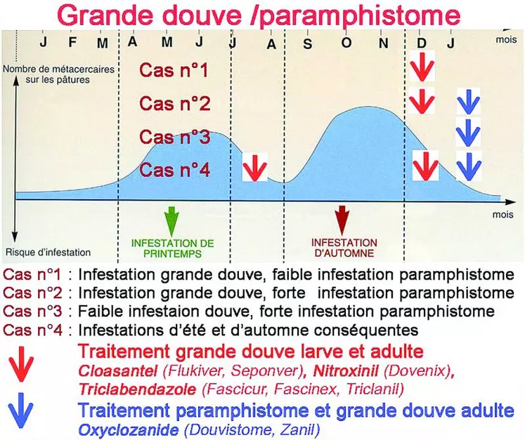 La stratégie de traitement prend en compte :
- Le cycle du parasite, les pics d’infestation et leurs niveaux ;
- Les risques zootechnique et clinique que cela engendre au sein de son élevage.