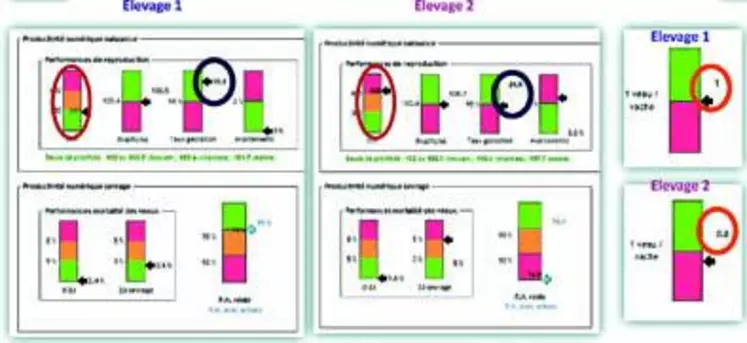 Déterminer annuellement la productivité numérique de son troupeau constitue une première étape de détermination du niveau de produits incontournable à réaliser. La productivité numérique regroupe le taux de gestation, l’intervalle vêlage-vêlage et le taux de mortalité des veaux de 0 jour au sevrage. Déjà, à ce niveau peuvent s’observer des différences entre élevages allant au-delà de 20 %.